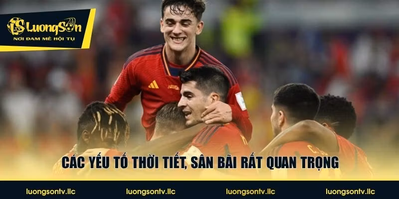 Các yếu tố thời tiết, sân bãi rất quan trọng
