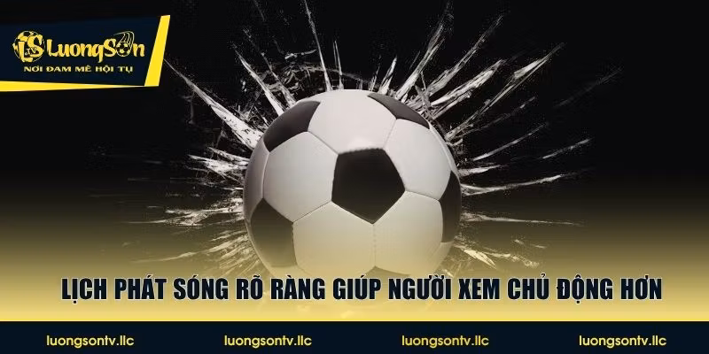 Lịch phát sóng rõ ràng giúp người xem chủ động hơn
