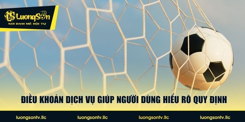 Điều khoản dịch vụ giúp người dùng hiểu rõ quy định