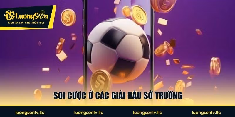Soi cược ở các giải đấu sở trường