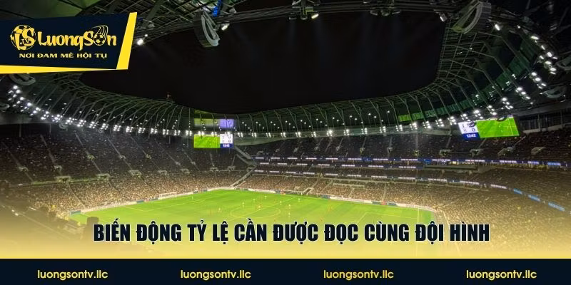 Biến động tỷ lệ cần được đọc cùng đội hình